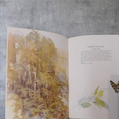 Catherine Hamilton's Butterflies of New Zealand by Catherine Hamilton